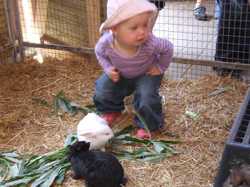 Sofia i  FarmFun 110.jpg